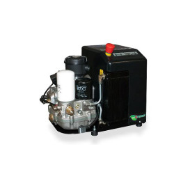 COMPRESOR CU SURUB 220V