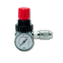 PRESSURE REGULATOR WITH GAUGE AND RAPID COUPLING