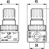 Pressure reductor with gauge 1/4 R 180 GAV